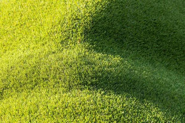 Yeşil Çimen Alanı Arkaplanı Dokusu Yumuşak Odak — Stok fotoğraf