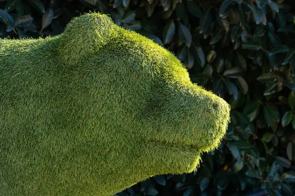 Close-up floral figure of a bear made from green grass
