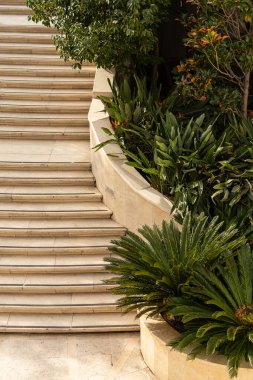 Taş, beş yıldızlı bir otele yaklaşır. Bahçesi ve palmiyeleri güzeldir.