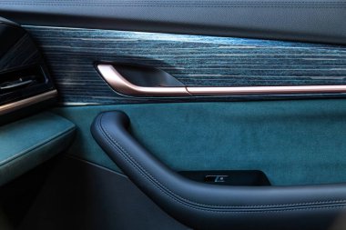 Yan kapı düğmeleri: pencere, ayna ayarlama düğmeleri, kapı kilidi. Araba içeride.