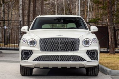 Novosibirsk, Rusya - 01 Mayıs 2024: Beyaz Bentley Bentayga, bir yaz günü park arkaplanına karşı park etmiş.