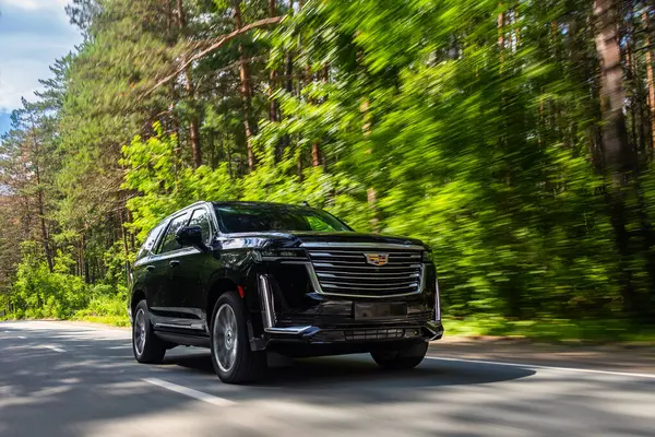 Stock image Novosibirsk, Russia -  August  05, 2024: black  Cadillac Escalade 600  SUV  is driving along a highway in the forest