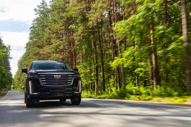 Novosibirsk, Rusya - 05 Ağustos 2024: Siyah Cadillac Escalade 600 sıcak bir yaz gününde bir ormanın arka planına doğru hızla yol alıyor
