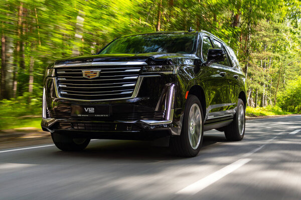 Novosibirsk, Russia -  August  05, 2024: black  Cadillac Escalade 600  SUV  is driving along a highway in the forest