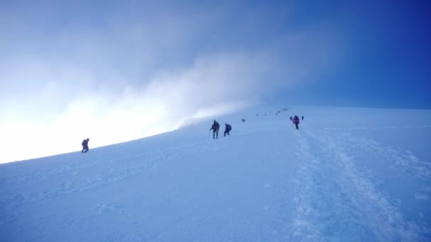 Bergsteiger Besteigen Den Vulkan Citlaltepetl Hochwertiges Filmmaterial — Stockvideo
