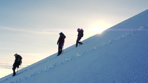 Alpinistas Que Ascendem Vulcão Citlaltepetl — Vídeo de Stock