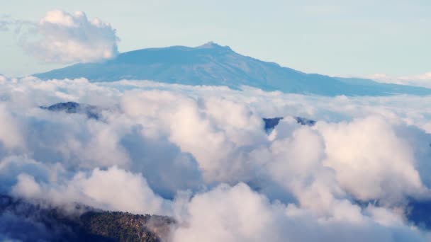 Ett Cofre Perote Inaktivt Vulkaniskt Berg Mexiko — Stockvideo