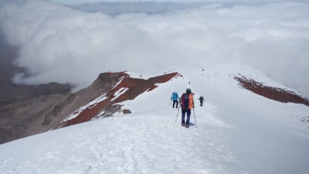 Grupa Alpinistów Wspina Się Szczyt Ośnieżonej Góry — Wideo stockowe