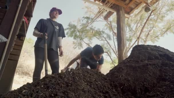 Young People Working Farm Shovels — Stok video