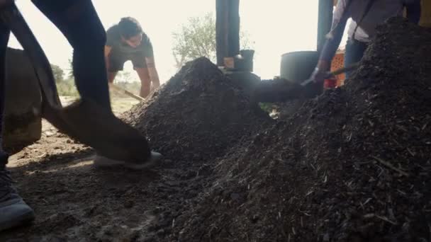 Young People Working Farm Shovels Mexico — Stockvideo