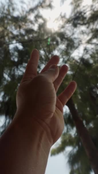 Hand Aanraken Zon Reiken Naar Zonlicht Schijnen Tussen Vingers Vangen — Stockvideo