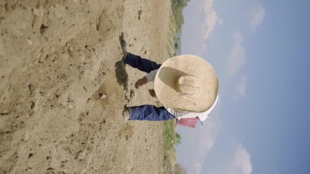 Αγροτική Εποχή Φυτεύοντας Κρεμμύδια Αγρότη Στη Σωστή Στιγμή — Αρχείο Βίντεο