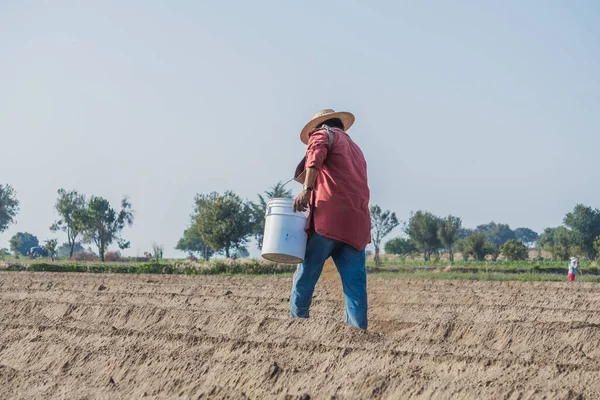 Landbouwers Die Grond Bemesten Met Landbouwmest Het Platteland — Stockfoto