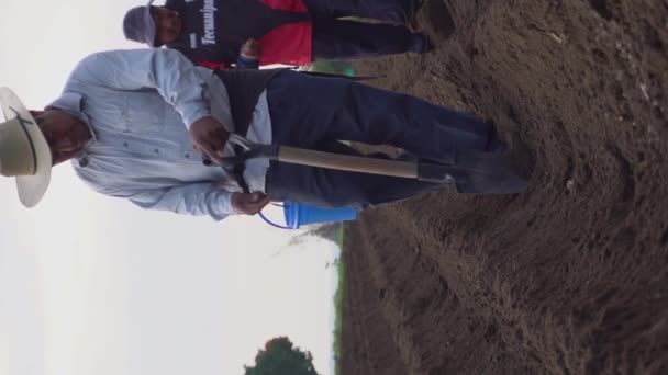 Trabajando Tierra Agricultor Mexicano Plantando Frijoles Con Pasión — Vídeos de Stock