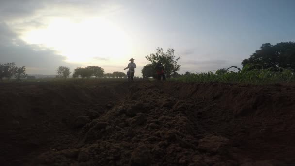 Trabajo Equipo Agricultor Mexicano Colaborando Plantación Frijoles — Vídeo de stock