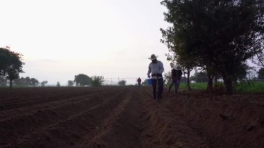 Geleneksel Tarım: Meksikalı Çiftçi Fasulye Ekimi Bakımı