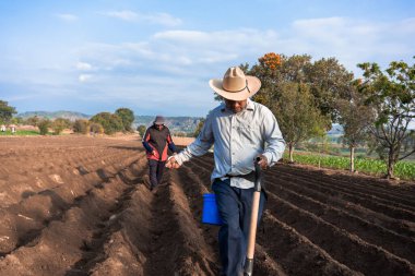 Toprakta Çalışmak: Meksikalı Çiftçi Tutkuyla Fasulye Ekiyor