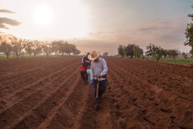 Tarım Zenginliği: Meksikalı Çiftçi Fasulye Yetiştirme Meyvelerini Topluyor