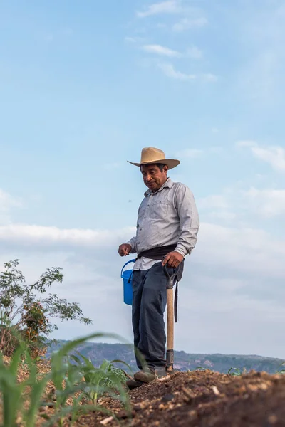 stock image Face of Hope: Portrait of a Mexican Farmer Planting Beans with Passion