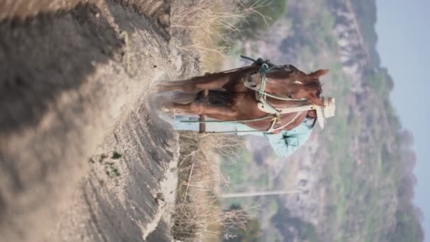 Sostenibilidad Agrícola Campesino Mexicano Labrando Tierra Con Caballo Para Cultivo — Vídeo de stock