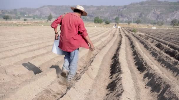 자연적 유기농 농장의 거름으로 토양을 비옥하게 조미료 — 비디오