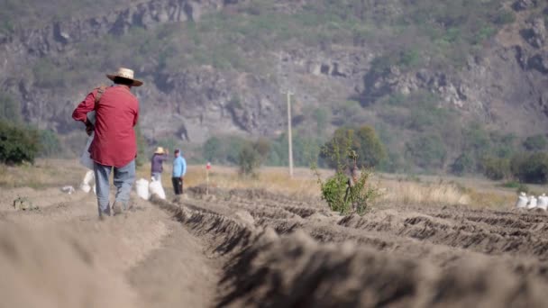 Köylü Toprağı Zenginleştirmek Için Çiftlik Gübresi Saçıyor — Stok video