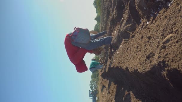 Agricultural Work Farmer Sowing Onions Field — Stock Video