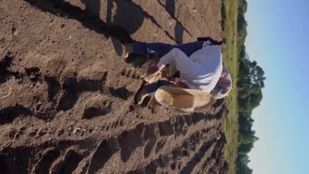 Landarbeiter Sät Zwiebelzwiebeln Aus — Stockvideo