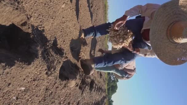 Agricultura Sostenible Plantación Cebollas Ecológicas — Vídeo de stock