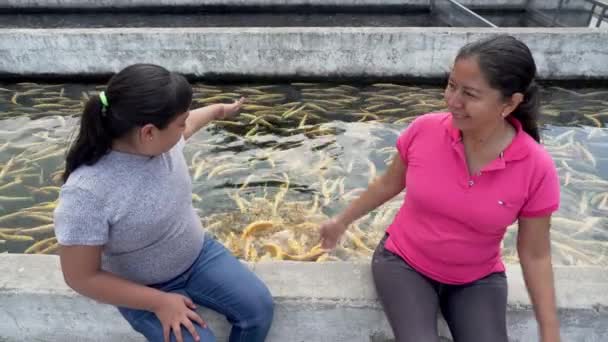 Mother Daughter Feeding Rainbow Trout Trout Pond — Wideo stockowe