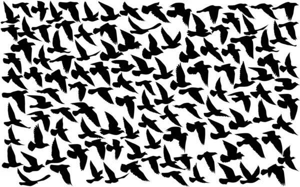 Fliegende Vögel Silhouetten Muster Tapete Vektorillustration Vereinzelte Vogelflüge Tätowierung Vorlage — Stockvektor