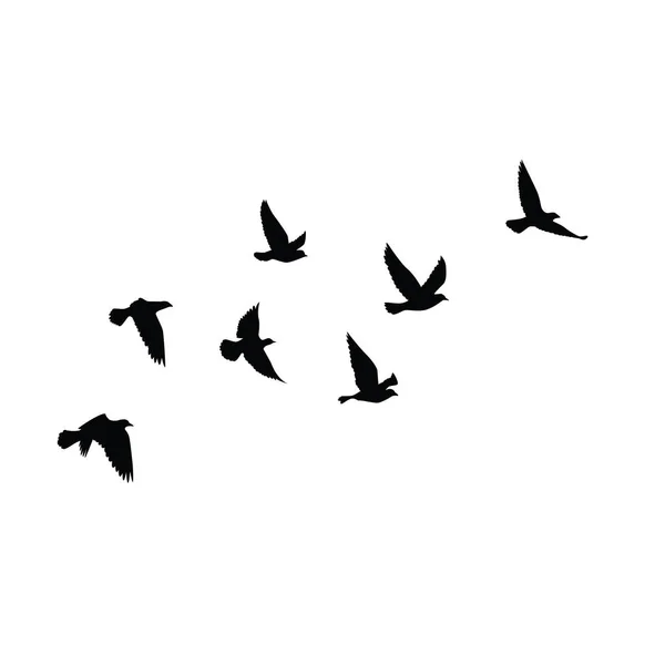 Fliegende Vögel Silhouetten Muster Tapete Vektorillustration Vereinzelte Vogelflüge Tätowierung Vorlage — Stockvektor