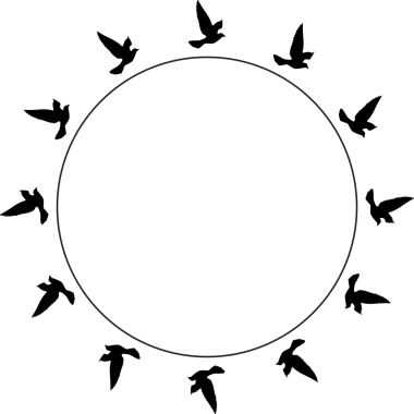 Uçan kuşlar siluet desenli duvar kağıtları. PNG şeffaf. İzole kuş uçuşu. dövme tasarımı. Kart, paket ve duvar kağıdı şablonu.