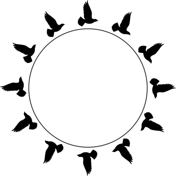 Uçan kuşlar siluet desenli duvar kağıtları. PNG şeffaf. İzole kuş uçuşu. dövme tasarımı. Kart, paket ve duvar kağıdı şablonu.