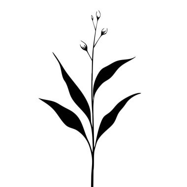 Küçük yaprak bitkisi siluet desenli duvar kağıdı. Siyah ve beyaz. En az sanat eseri. Basit şablon. dövme tasarımı. Kart ve paket. Vektör illüstrasyonu.