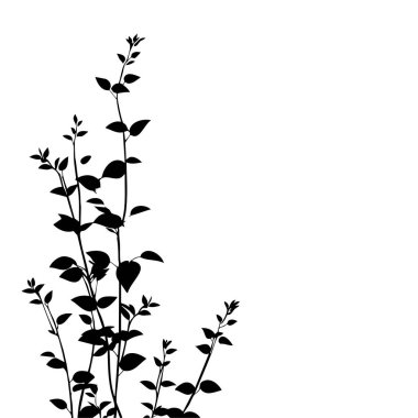 Küçük yaprak bitkisi siluet desenli duvar kağıdı. Siyah ve beyaz. En az sanat eseri. Basit şablon. dövme tasarımı. Kart ve paket. Vektör illüstrasyonu.