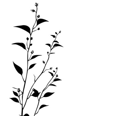 Küçük yaprak bitkisi siluet desenli duvar kağıdı. Siyah ve beyaz. En az sanat eseri. Basit şablon. dövme tasarımı. Kart ve paket. Vektör illüstrasyonu.