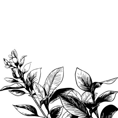 Küçük yaprak bitkisi siluet desenli duvar kağıdı. Siyah ve beyaz. En az sanat eseri. Basit şablon. dövme tasarımı. Kart ve paket. Vektör illüstrasyonu.