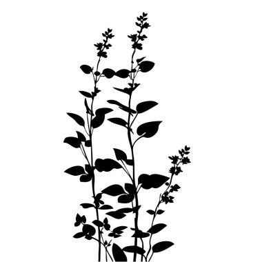 Küçük yaprak bitkisi siluet desenli duvar kağıdı. Siyah ve beyaz. En az sanat eseri. Basit şablon. dövme tasarımı. Kart ve paket. Vektör illüstrasyonu.