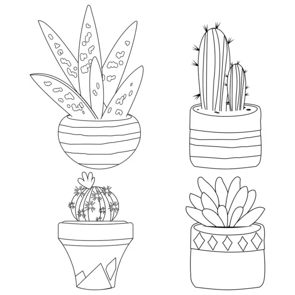 Cactus Sappige Kamerplanten Groeien Potten Vector Zwart Wit Kleurplaat — Stockvector