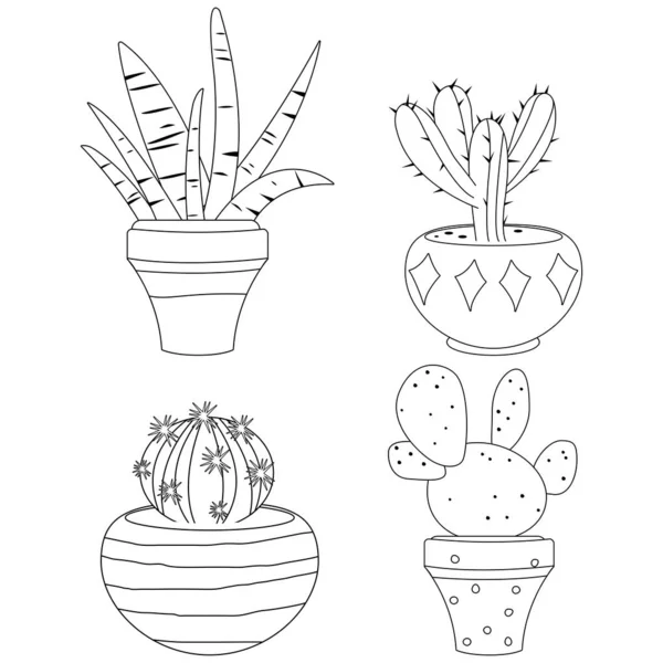 Κάκτος Και Ζουμερά Φυτά Γλάστρες Διάνυσμα Ασπρόμαυρη Σελίδα Χρωματισμού — Διανυσματικό Αρχείο