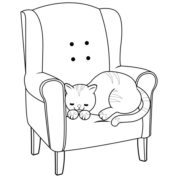 猫睡在扶手椅上 矢量黑白着色页 — 图库矢量图片