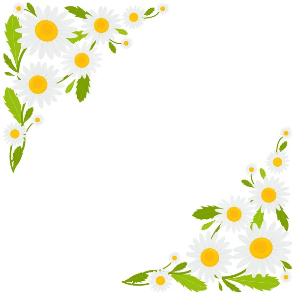 Fond Bannière Fleurs Marguerite Illustration Vectorielle — Image vectorielle