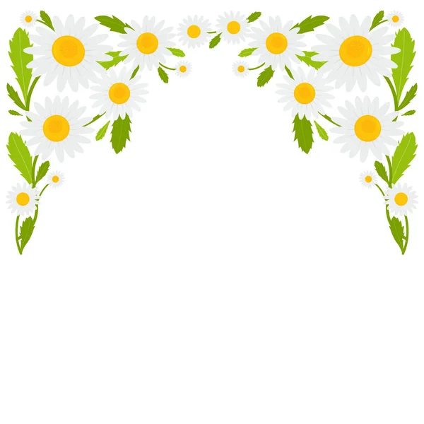 Fond Bannière Fleurs Marguerite Illustration Vectorielle — Image vectorielle