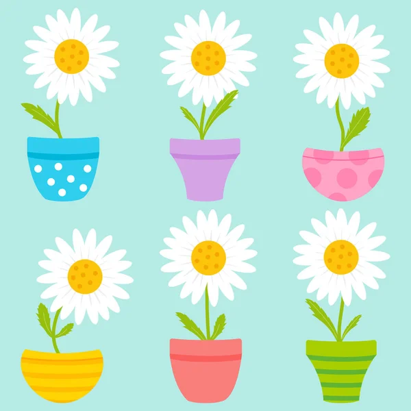 Fleurs Marguerites Sur Des Pots Colorés Jeu Illustrations Vectorielles — Image vectorielle