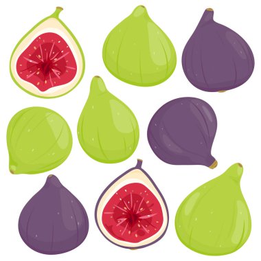 İncir, incir ağacının tatlı, yenilebilir meyvesi. Olgun yeşil ve mor incir meyveleri seti ve ikiye bölünmüş. Güzel ve lezzetli incir seti. Vektör illüstrasyonu