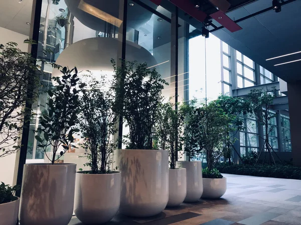 The row of beautiful indoor plant pots at a commercial building. The concept for corporate building.