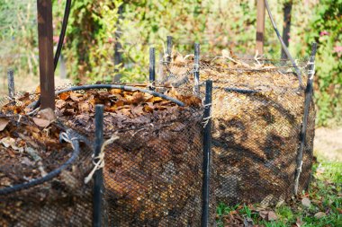 Tayland 'daki bir çiftlikte biyolojik gübre üretmek için kurumuş yapraklar hazırlanıyor. 