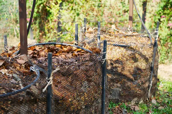 Tayland 'daki bir çiftlikte biyolojik gübre üretmek için kurumuş yapraklar hazırlanıyor. 