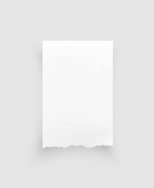 Des Bords Papier Déchirés Texture Papier Déchiré Étiquette Papier Feuille — Image vectorielle